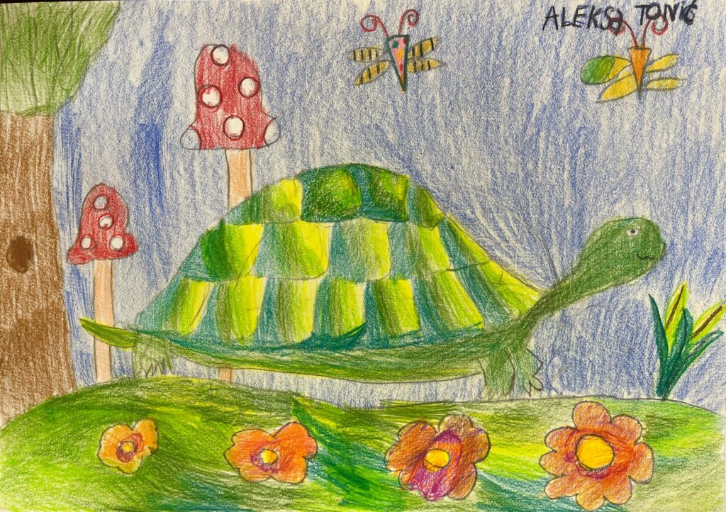 Aleksa Tonić - Aleksa Tonic 12