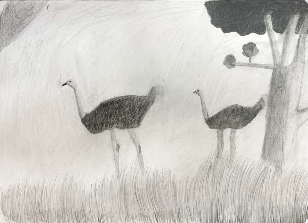 Petra Nikolić - Petra Nikolic 3